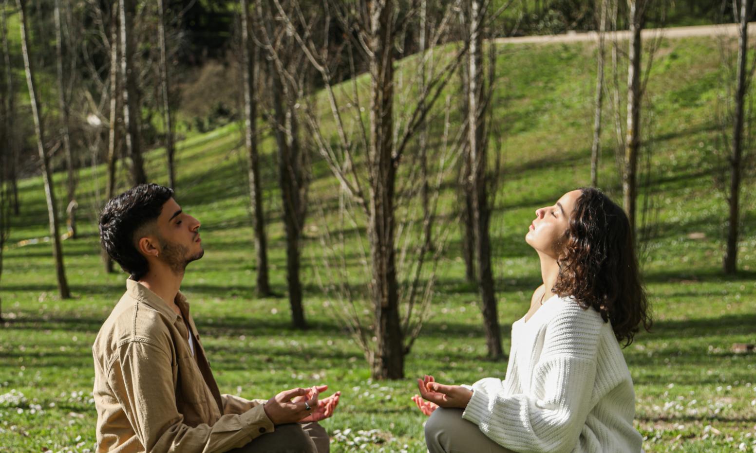 4 Morning Yoga Formats Ranked for Introverts Who Practice at Home